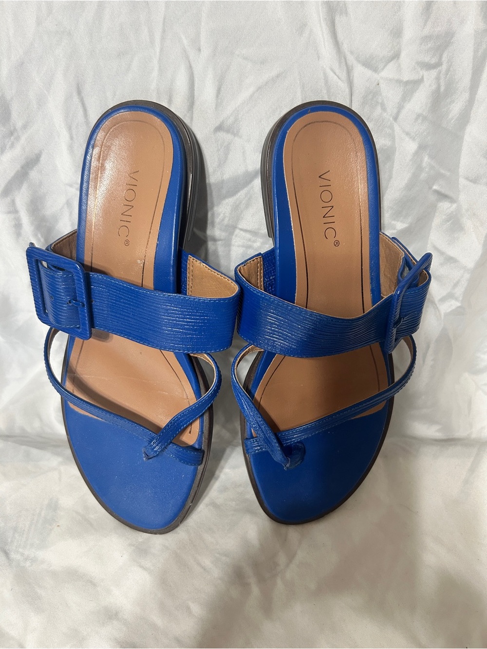 Vionic Royal Blue Buckle Toe-Loop Sandals